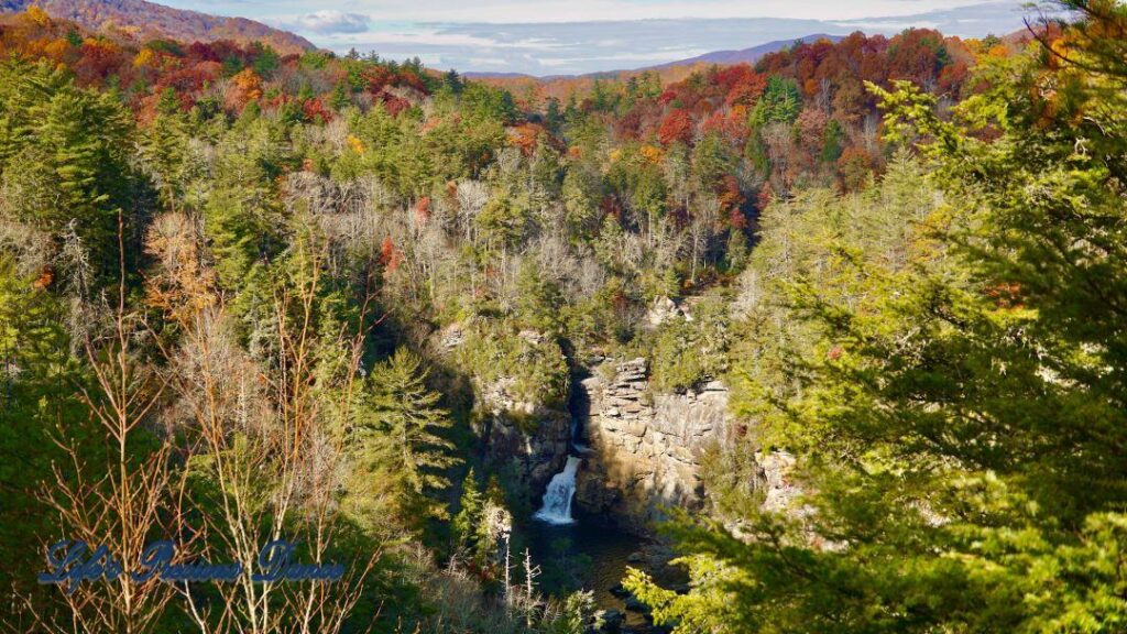 Landscape view of colorful trees surrounding Linville Falls.