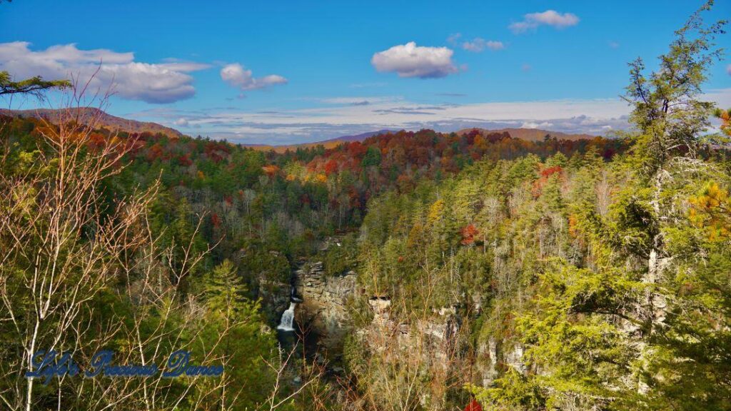 Landscape view of colorful trees surrounding Linville Falls.