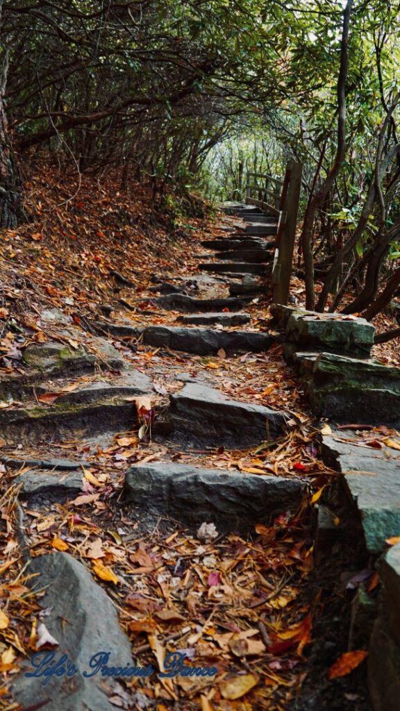 Rocky leave covered trail leading to Linville Falls