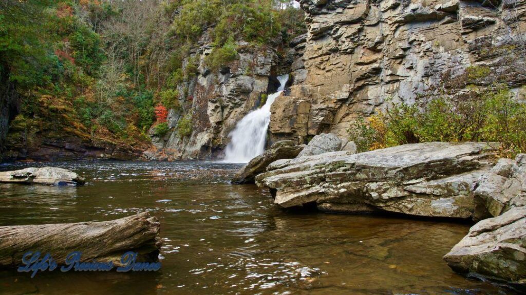 Linville Falls pouring down into the river basin. Downed tree in the foreground.