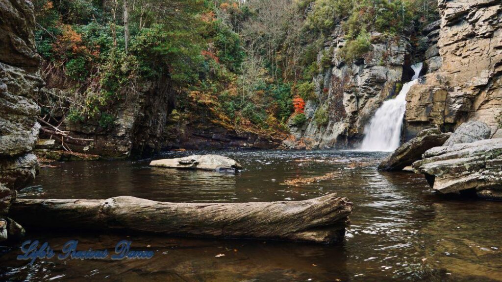 Linville Falls pouring down into the river basin. Downed tree in the foreground.