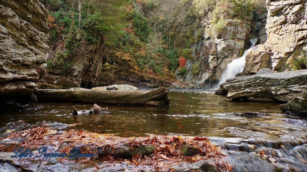 Linville Falls pouring down into the river basin. Downed tree in the foreground.