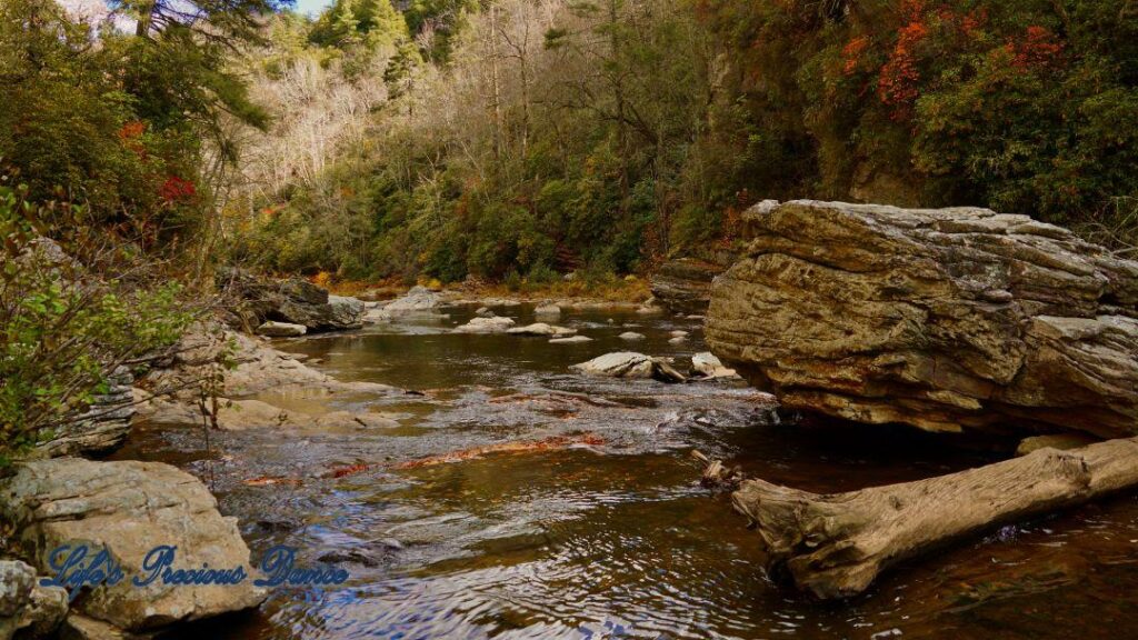 Linville River flowing through the gorge, Downed tree and large boulder to right.