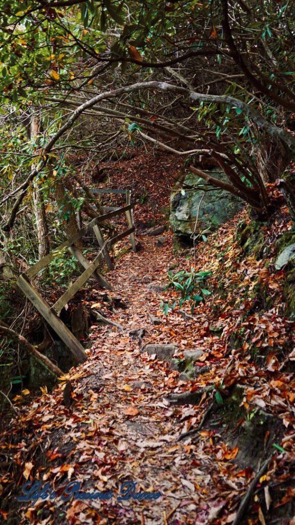 Crooked fence along a narrow trail leading to Linville Falls