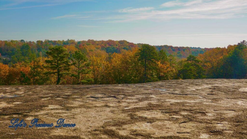 Landscape view from the top of Forty Acre Rock overlooking colorful trees in the valley below.