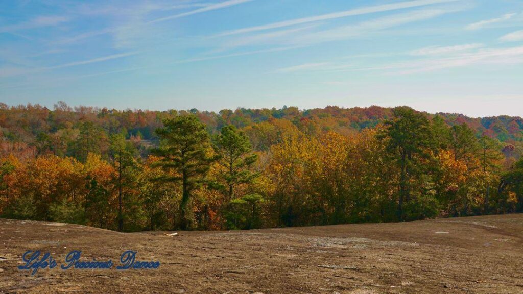 View from the top of Forty Acre Rock overlooking a forest of colorful trees.