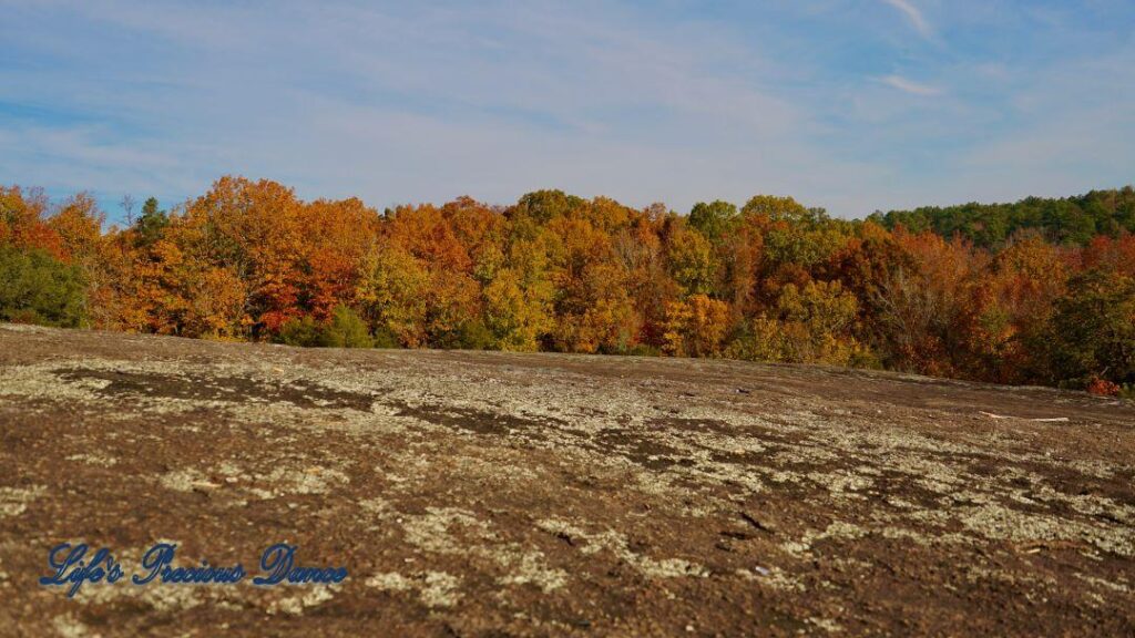 Landscape view from the top of Forty Acre Rock overlooking colorful trees in the valley below.