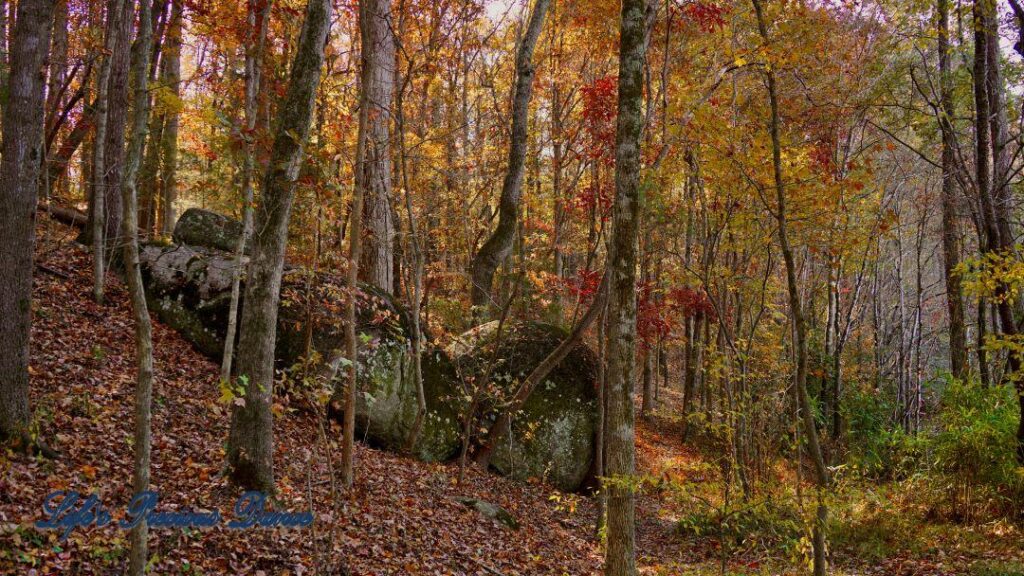 Several large boulders along a trail, surrounded by colorful trees.