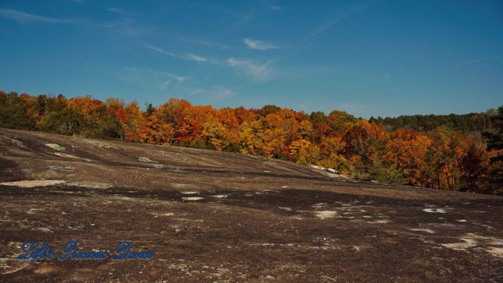 Landscape view from the top of Forty Acre Rock overlooking a forest of colorful trees.