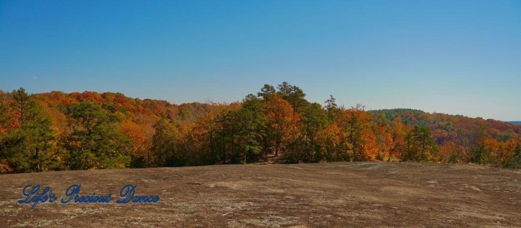 Landscape view from the top of Forty Acre Rock, looking down into a valley of colorful trees in the forest.