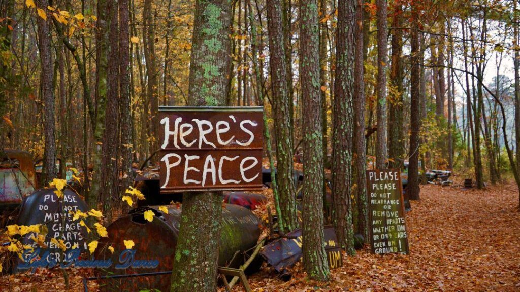 Sign on a tree that reads &quot;Here&#039;s Peace&quot;, in front of old junk cars.