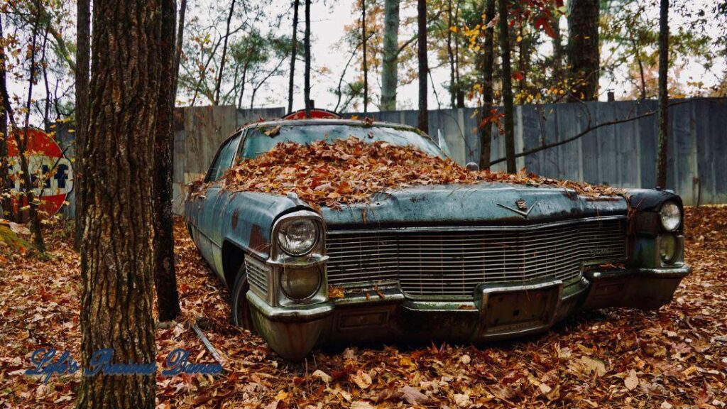 Vintage junk Cadillac with colorful leaves on the hood.