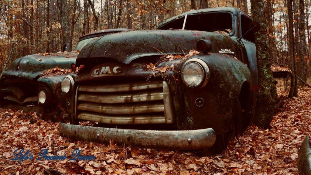 Vintage junk GMC truck resting against a tree in the woods