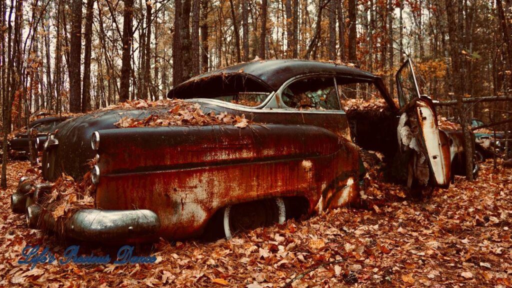 Vintage junk car rusting away in the woods.