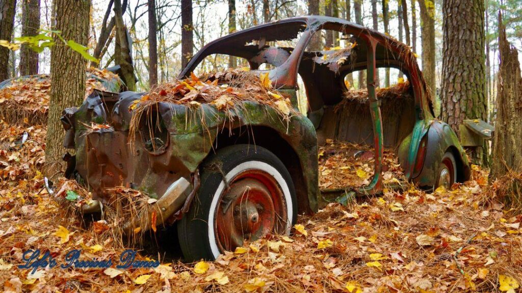 Vintage junk Volkswagen, missing doors, rusting away in the woods