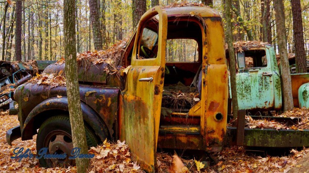 Vintage junk truck. covered in pine needles and leaves rusting away in the woods.