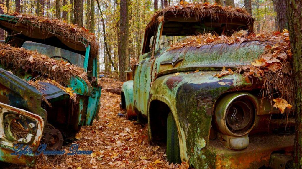 Close up of vintage junk Ford F150 covered in leaves and pine needles rusting away.