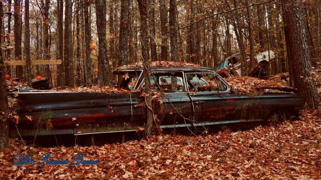 Vintage junk car covered in leaves with tree growing through trunk.