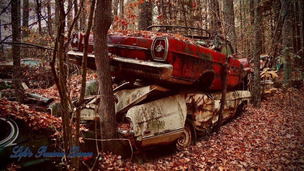 Vintage junk Ford resting on another car, sandwiched by trees,