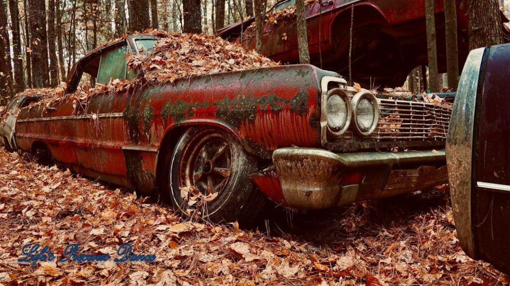 Vintage junk car covered in leaves and rusting away.