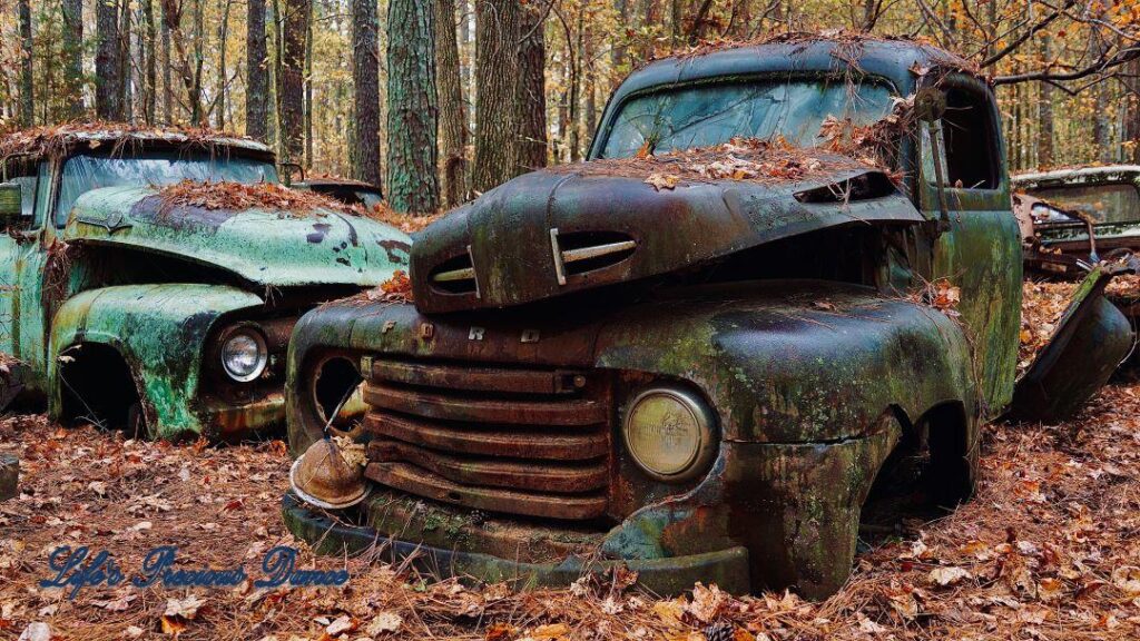 Up close of a vintage junk Ford in the woods.