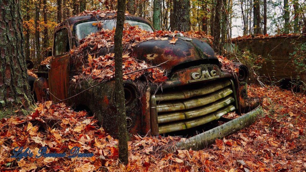 Vintage GMC truck covered in and submerged colorful leaves in the forest.