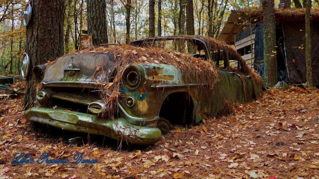 Vintage junk car covered in pine needles and rust.