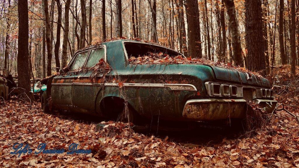 Vintage junk Polara submerged and covered in leaves amongst trees.