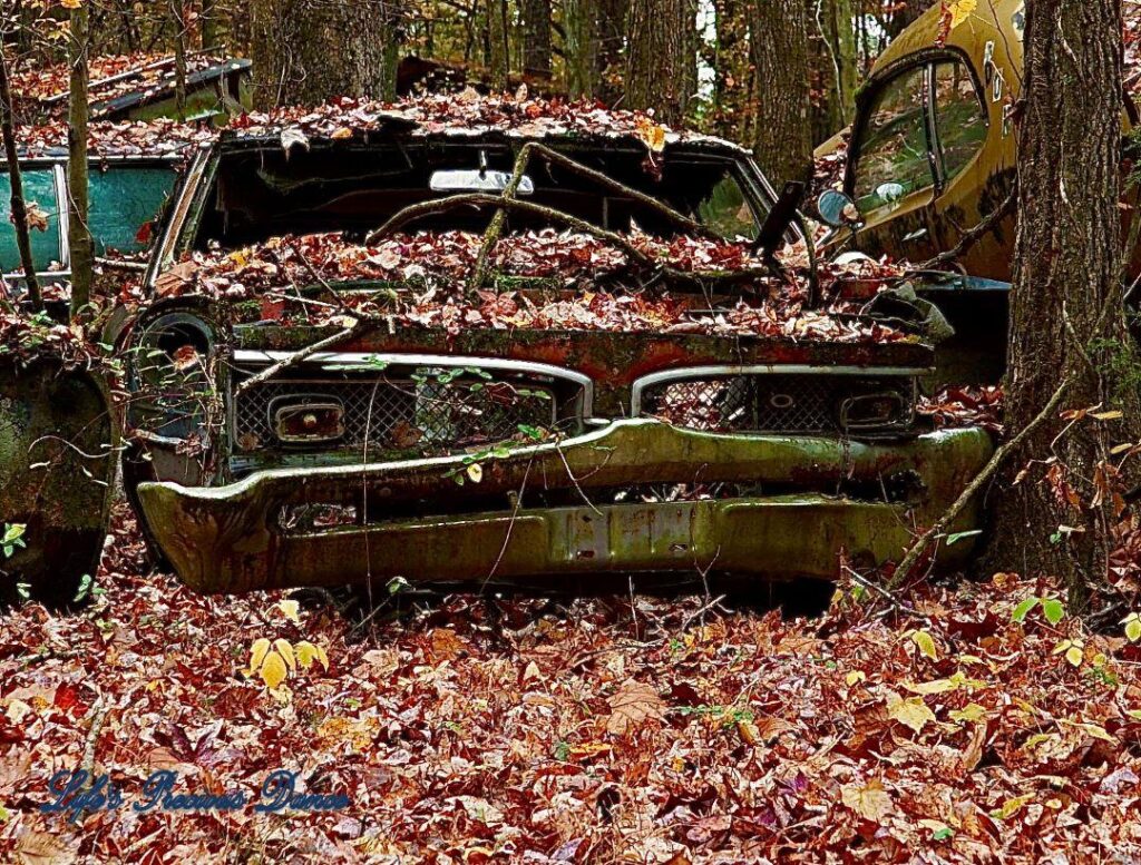 Vintage junk car covered in leaves with a grill that looks like a face.