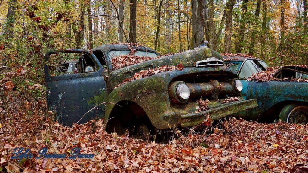 Vintage junk car submerged in leaves in the woods.