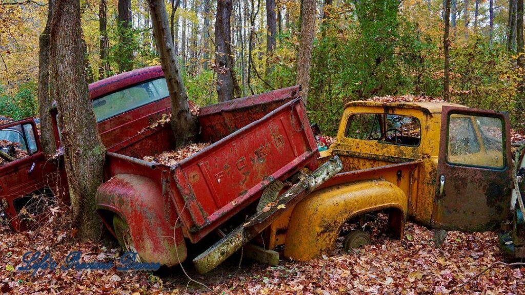 Vintage junk Ford truck with tree growing through bed, resting on top of another vehicle.