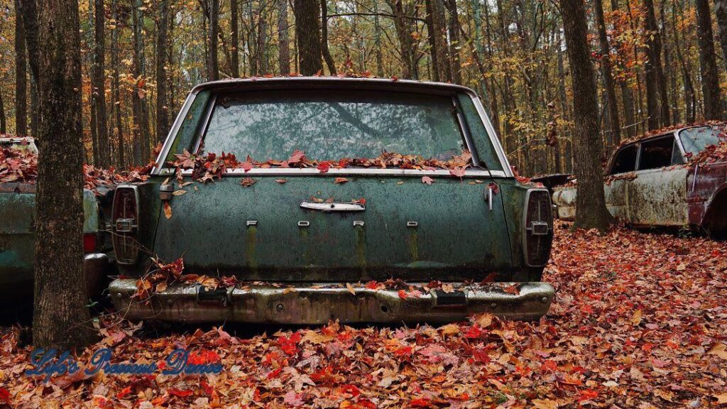 Vintage junk Ford Station Wagon resting on colorful leaves.