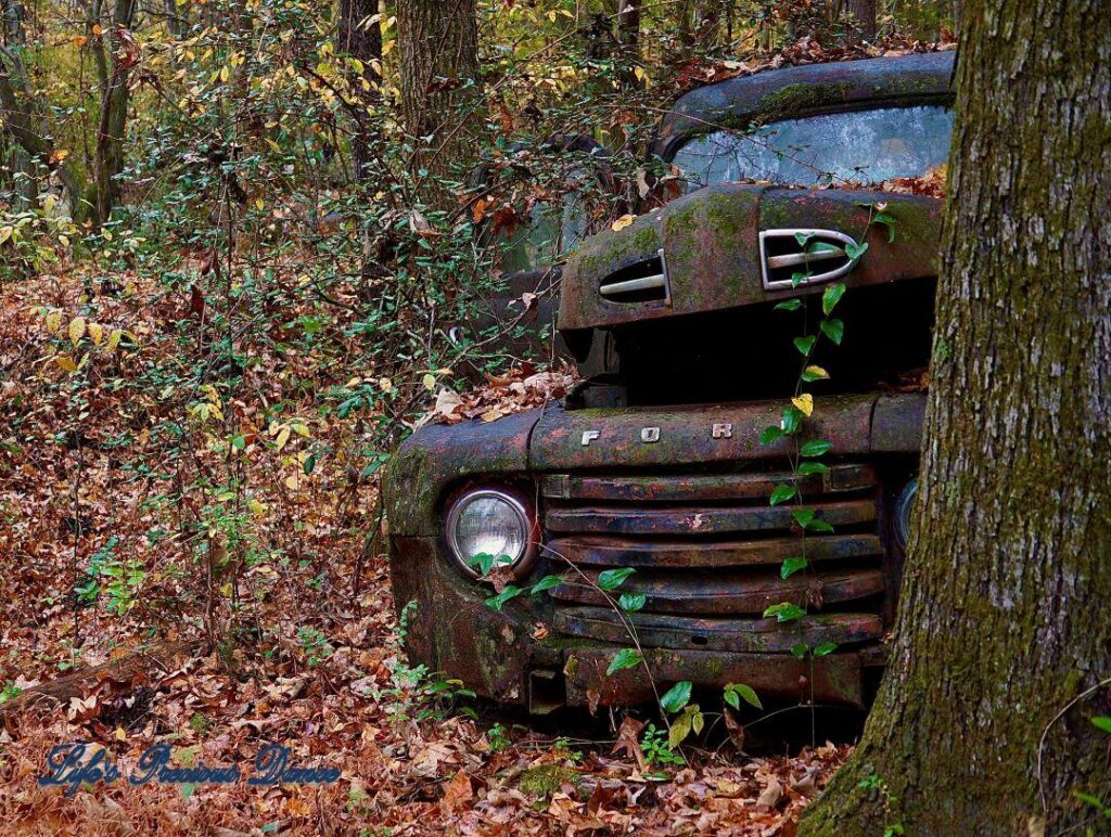 Vintage Junk Ford peaking from behind a tree