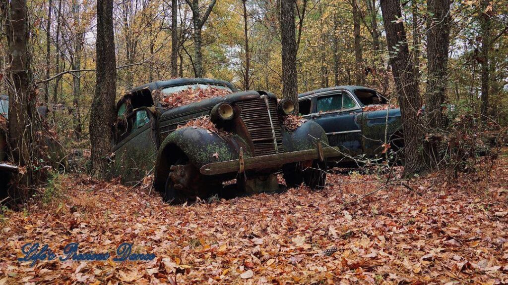 Vintage junk Oldsmobile with backend sinking into ground, surrounded by trees