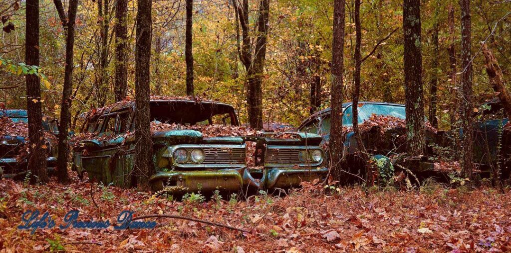 Vintage junk Station Wagon surrounded by colorful trees.