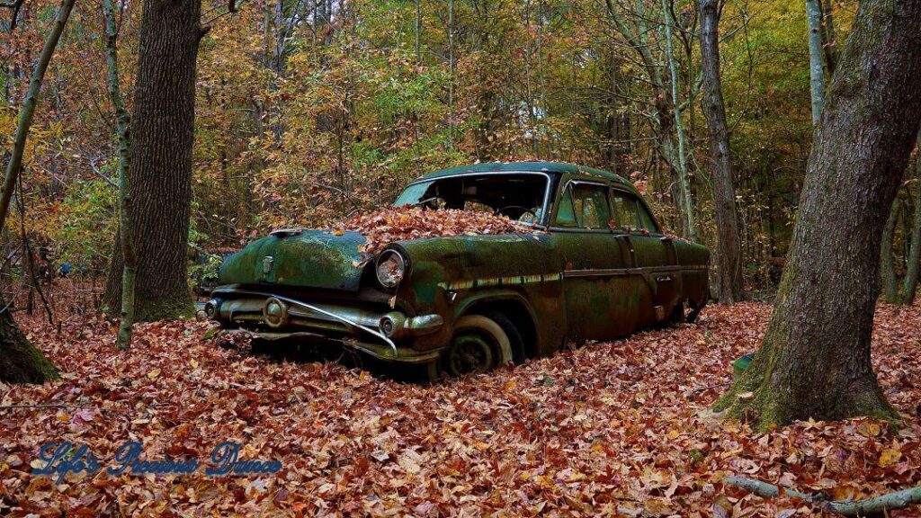 Vintage junk car sitting in a pile of leaves, colorful trees in background.