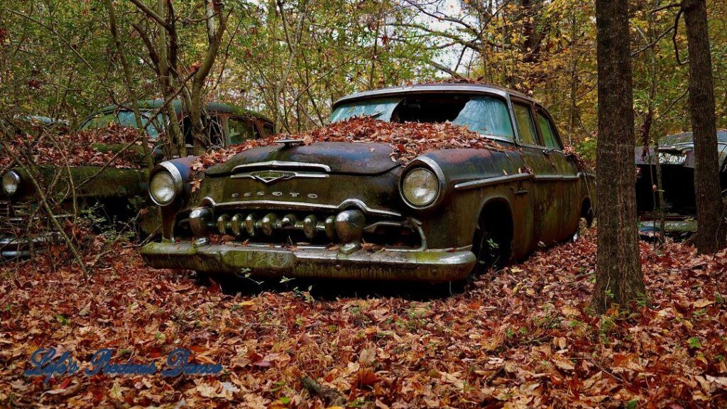 Vintage junk DeSoto with broken window and leaves on hood resting in woods.