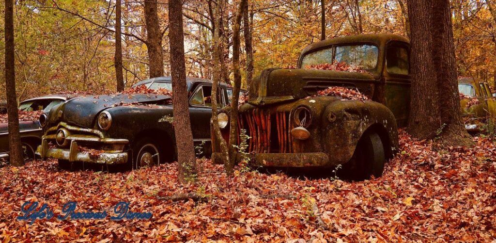 Algae and rust covered vintage junk truck resting against a tree.