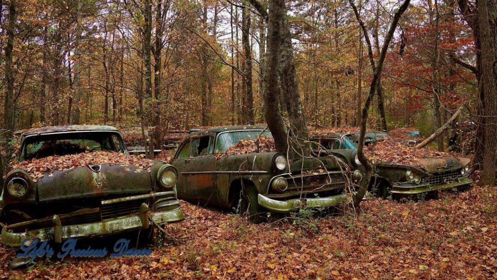 Vintage junk car with two trees growing out of engine block.