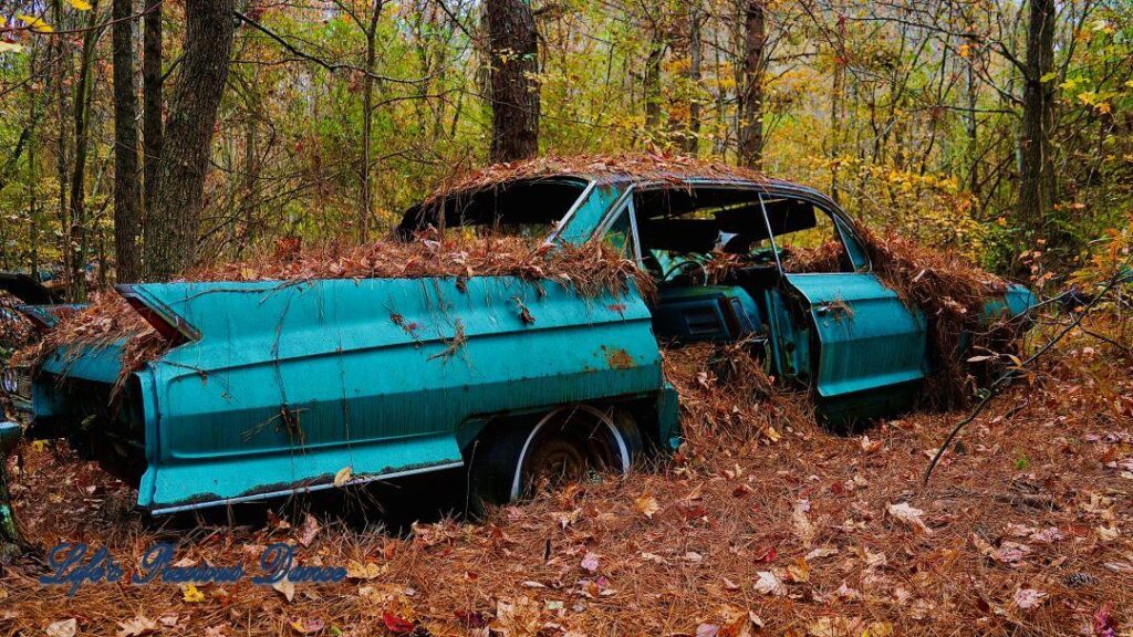 Aqua colored vintage junk car covered in pine needles, rusting in the woods.