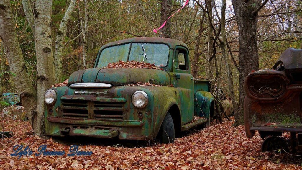 Rusting green vintage junk Dodge resting in the woods.