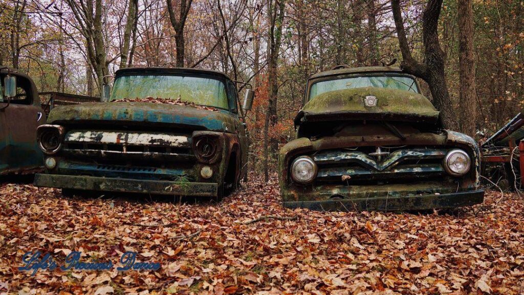 Two vintage junk trucks with grills that resemble faces in the woods