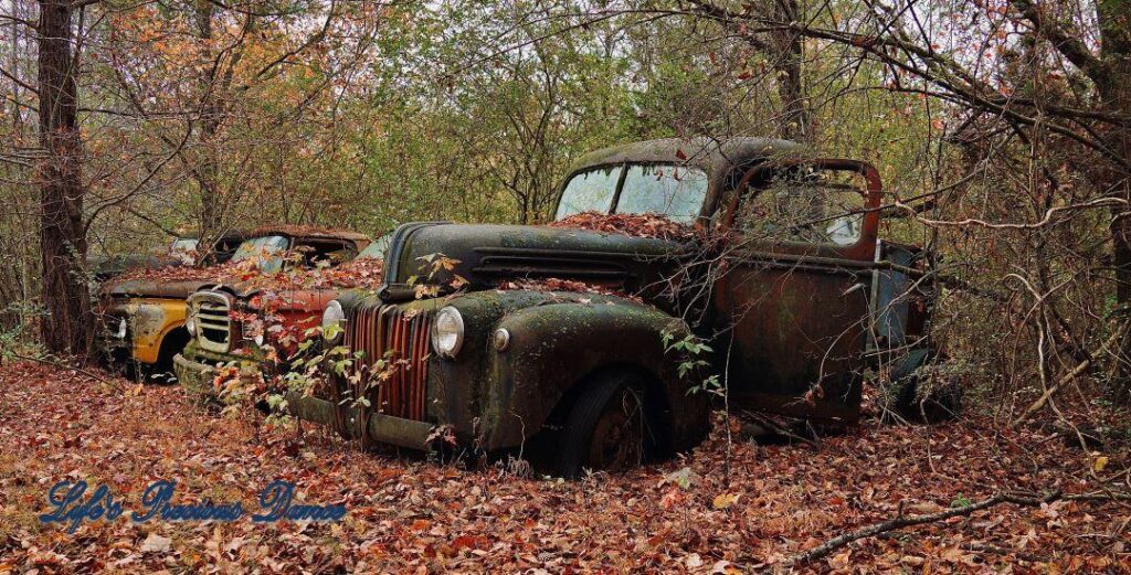 Vintage junk truck with door open, resting in the woods