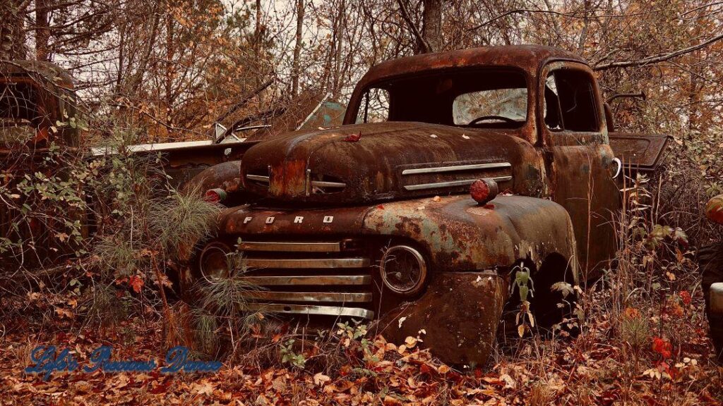 Vintage junk Ford truck with no windows or tires, rusting in the woods.