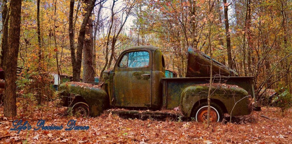 Vintage junk Chevy truck rusting in the woods under colorful trees.