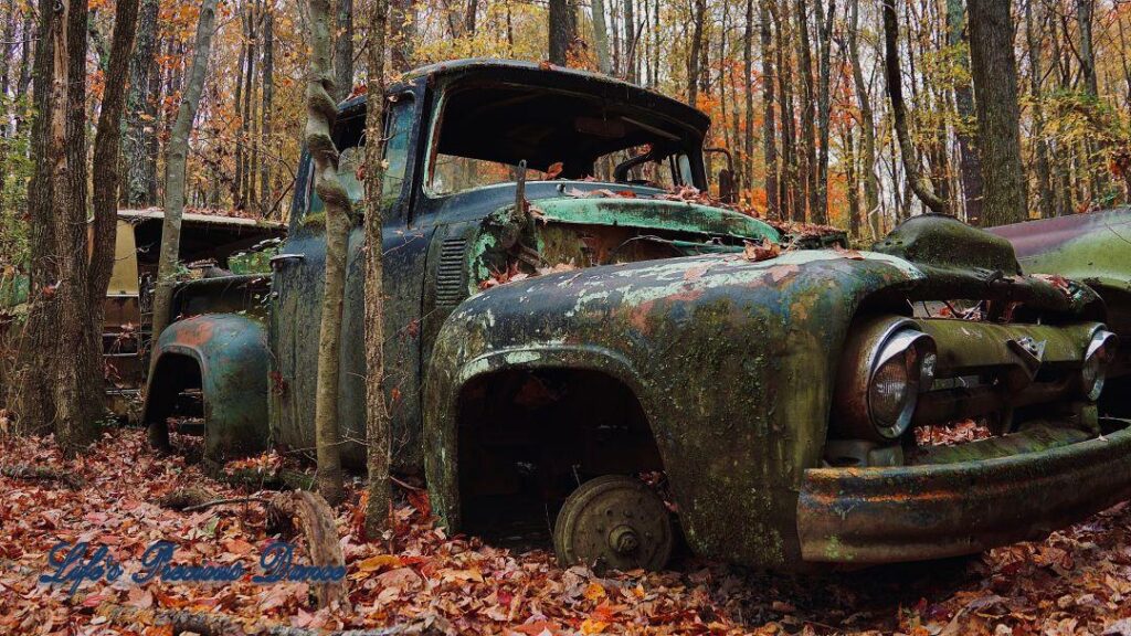 Vintage junk truck with no windows or tires, rusting in the woods.