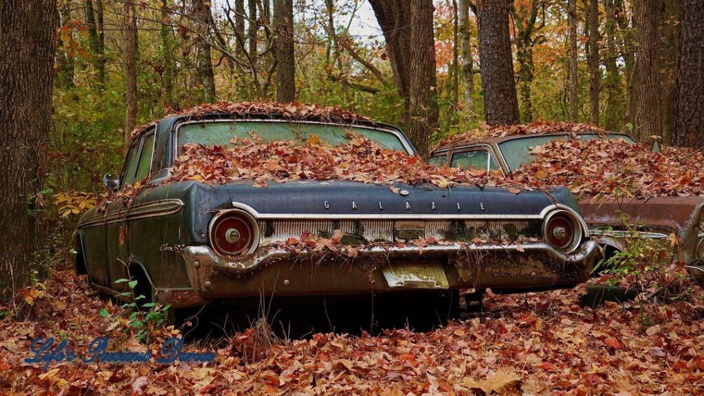 Dark blue vintage junk Ford Galaxie covered in leaves in the woods.