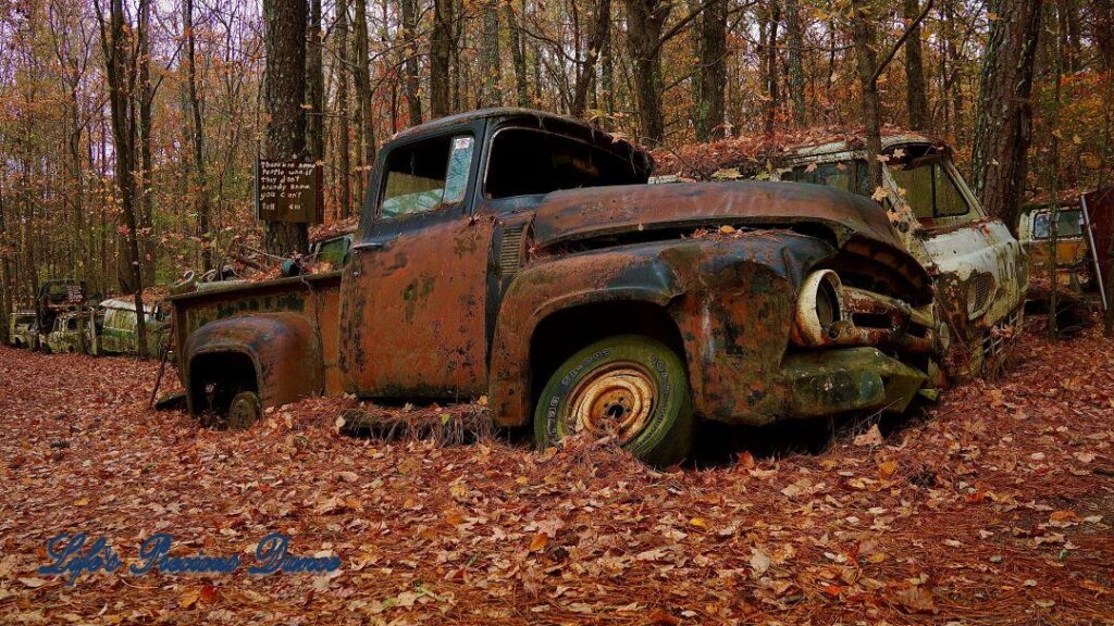 Rusting vintage junk truck resting in the woods.