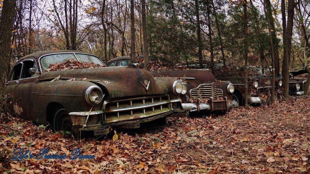 Row of vintage junk Cadillac&#039;s rusting amongst trees