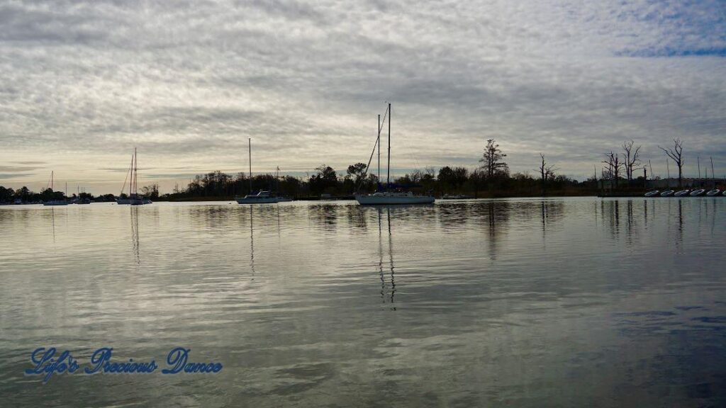 Sailboats, clouds and trees reflecting in the water of Georgetown Harbor.